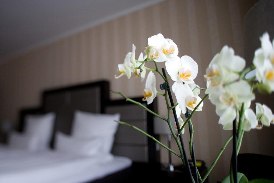 Top Hotel Kraemer Koblenz  Bilik gambar